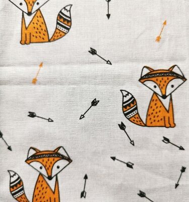 coton-renard-et-fleches